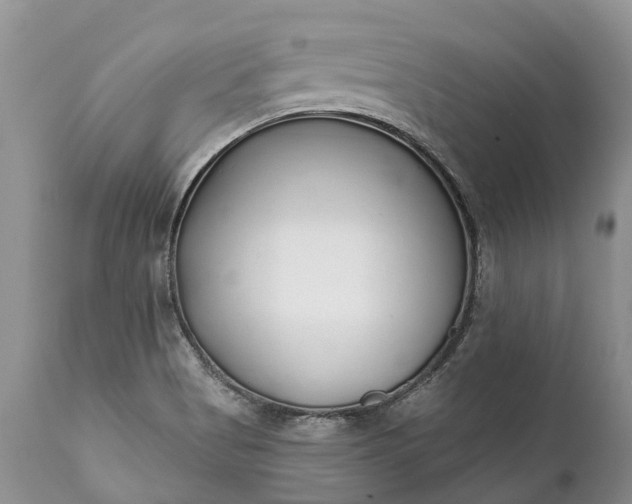 X0000111381513200907241258