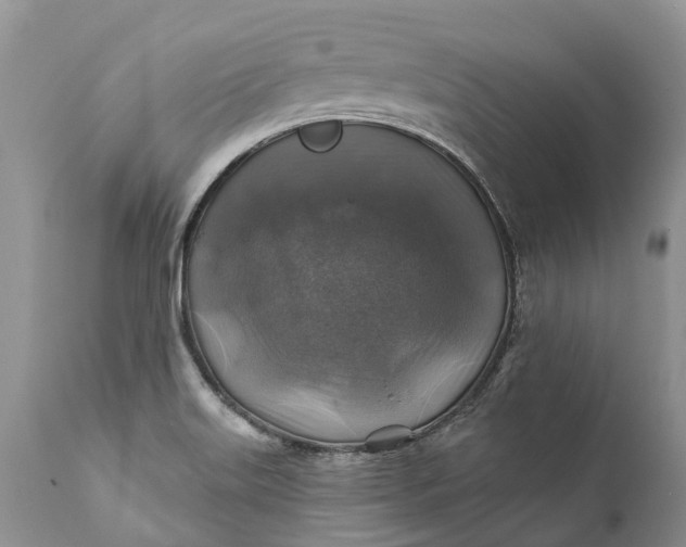 X0000111381515200907241258