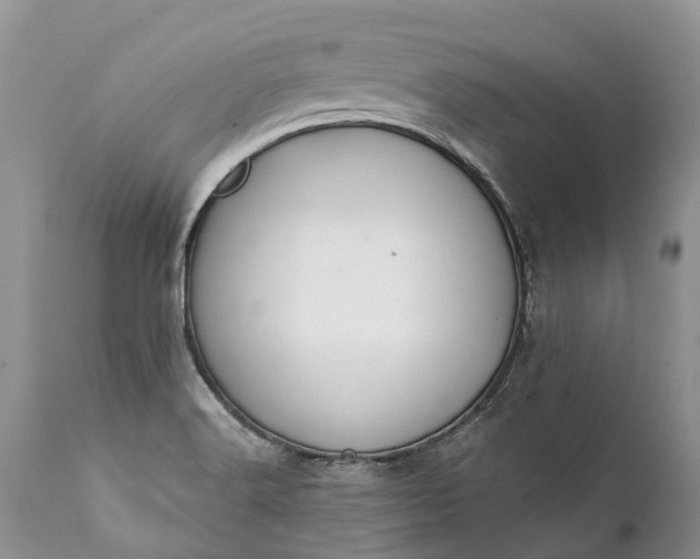 X0000111381516200907241258