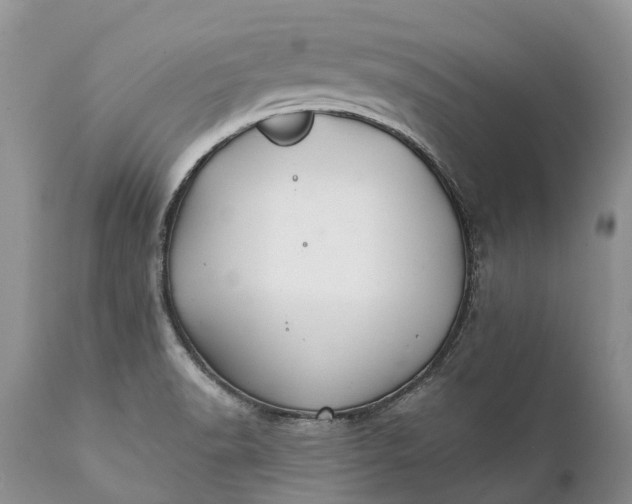 X0000111381518200907241258