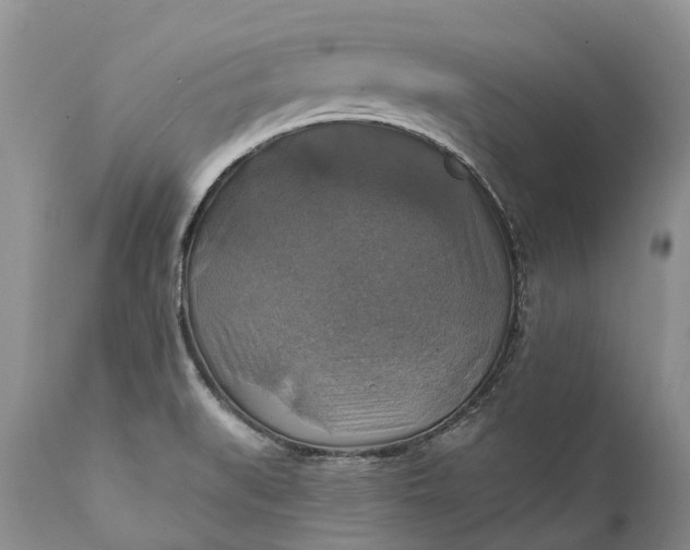 X0000111381519200907241258