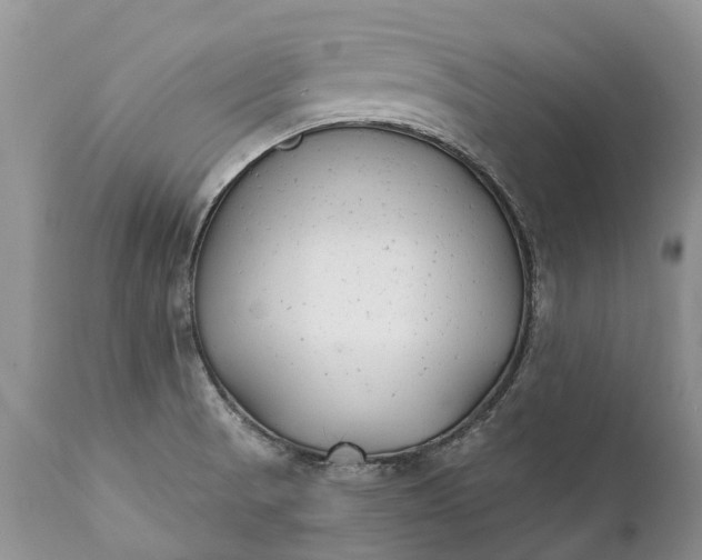 X0000111381521200907241258