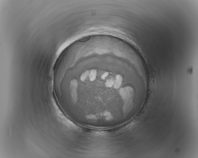 X0000111381522200907241258