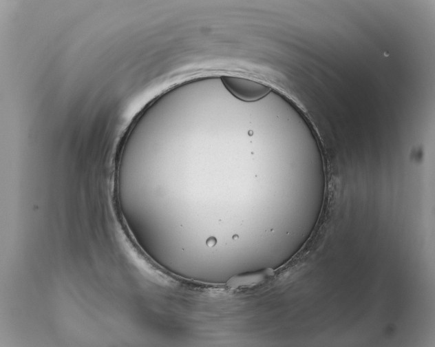 X0000111381523200907241258