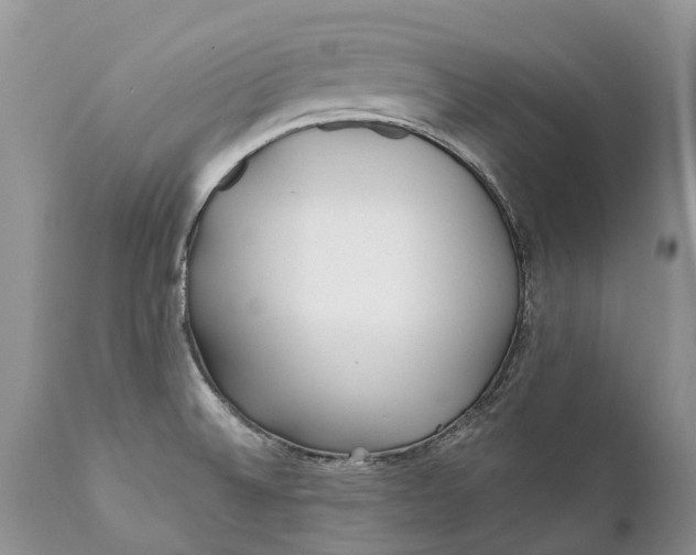 X0000111381524200907241258