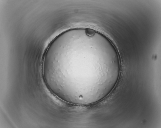 X0000111381525200907241258