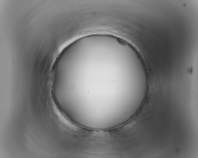 X0000111381526200907241258