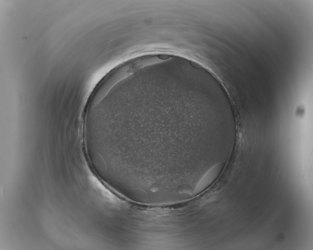 X0000111381527200907241258