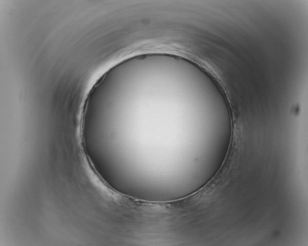 X0000111381528200907241258