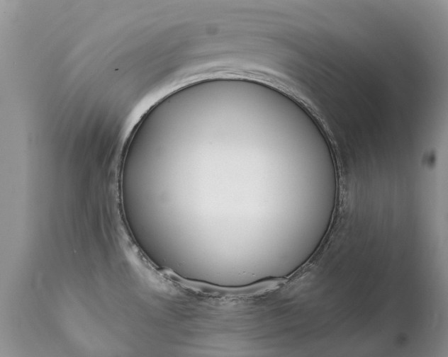 X0000111381530200907241258