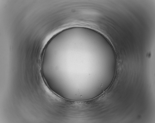 X0000111381531200907241258