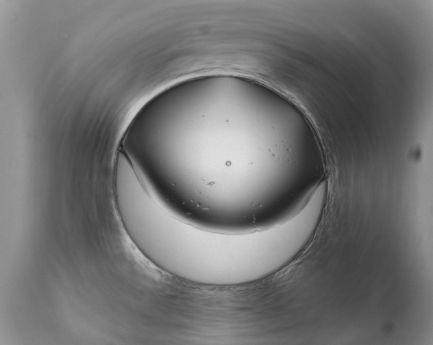 X0000111381532200907241258