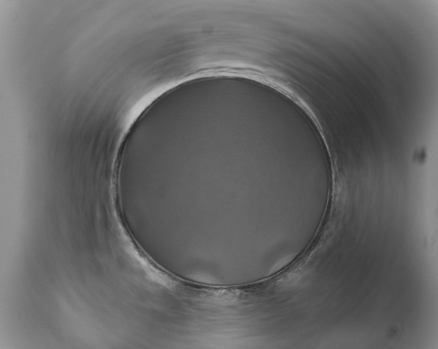 X0000111381533200907241258