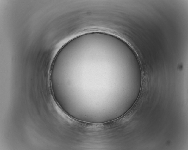 X0000111381535200907241258