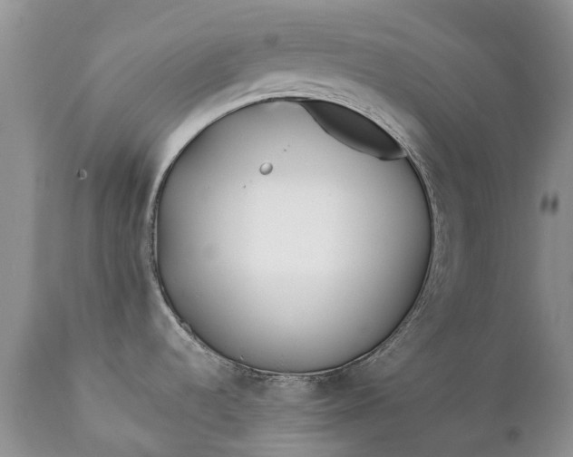 X0000111381536200907241258