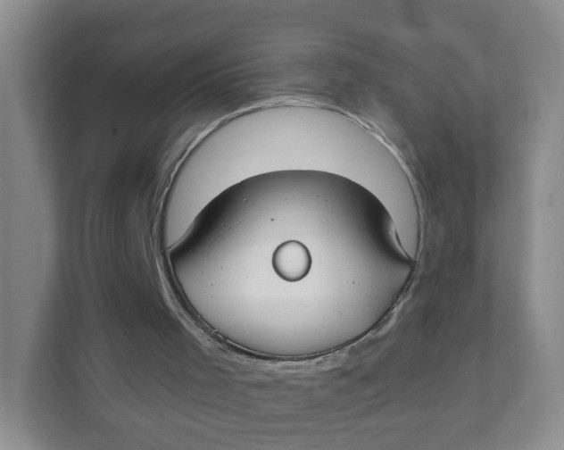 X0000111380001200907311103