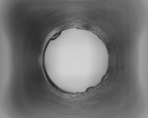 X0000111380003200907311103