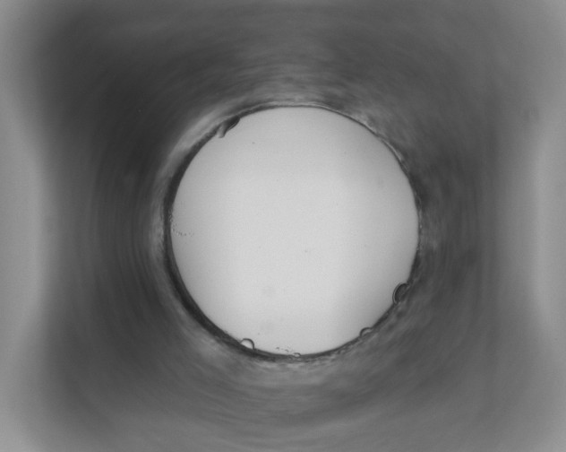 X0000111380005200907311103