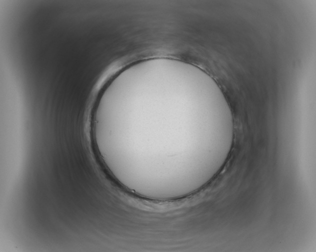 X0000111380006200907311103