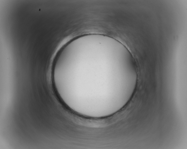 X0000111380008200907311103