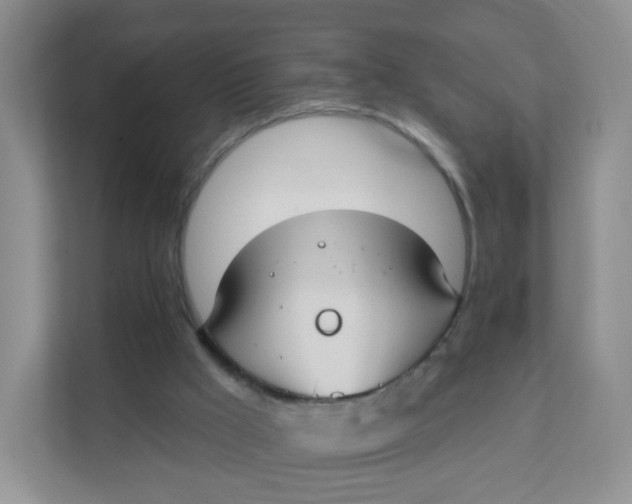 X0000111380009200907311103