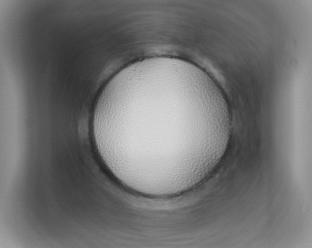 X0000111380010200907311103