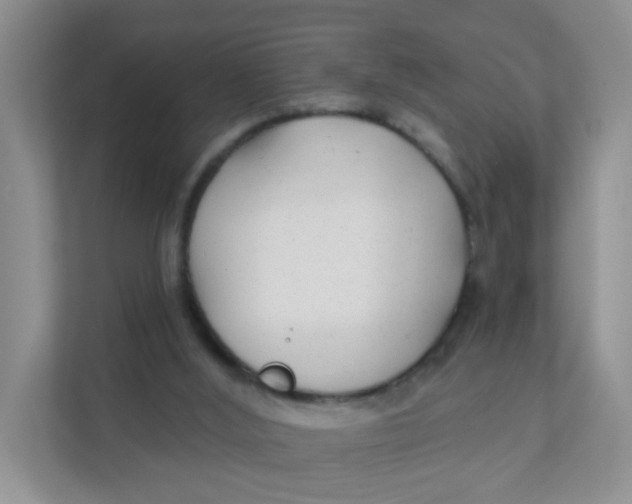 X0000111380012200907311103