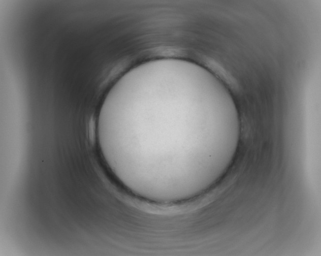 X0000111380014200907311103