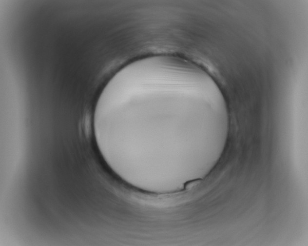 X0000111380019200907311102