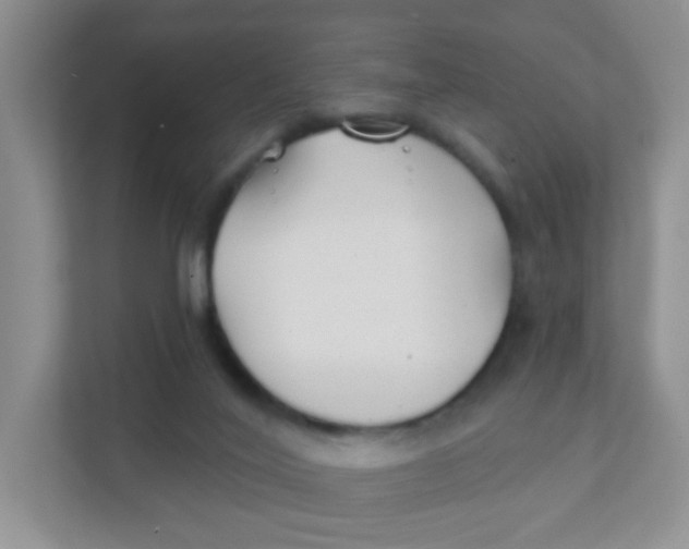 X0000111380020200907311102