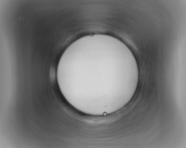 X0000111380021200907311102