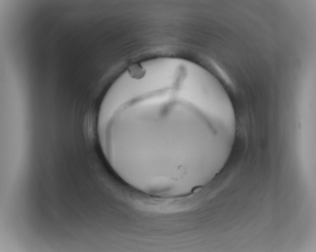 X0000111380023200907311102