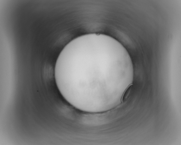 X0000111380025200907311102