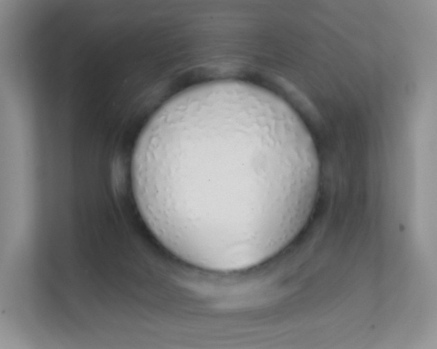 X0000111380026200907311102