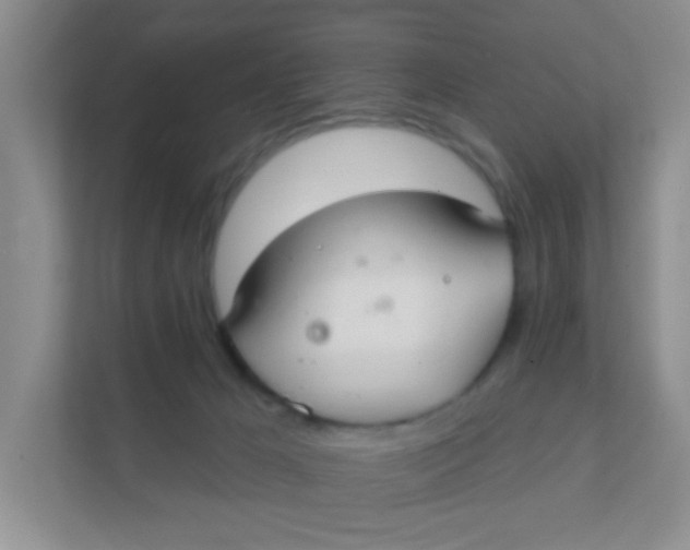 X0000111380029200907311102