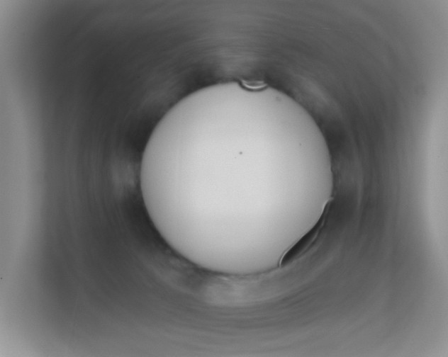 X0000111380033200907311102