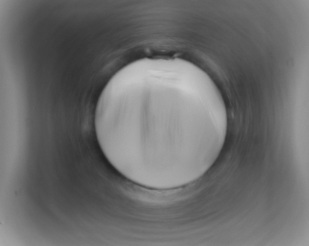 X0000111380035200907311102