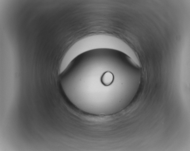 X0000111380036200907311102