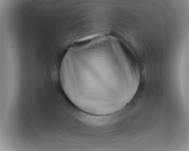 X0000111380039200907311102