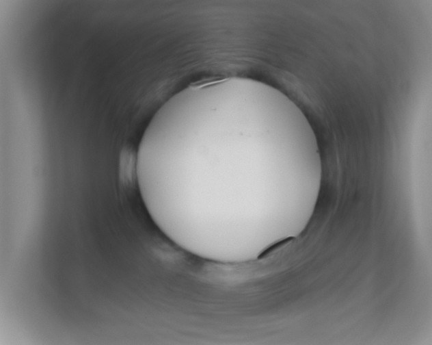 X0000111380041200907311102