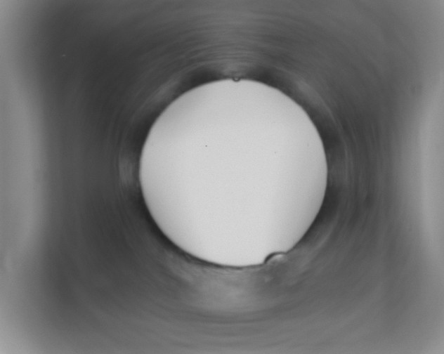 X0000111380044200907311102