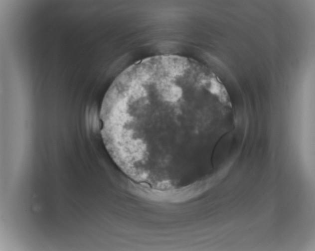 X0000111380046200907311102