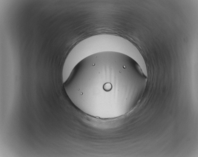 X0000111380047200907311102