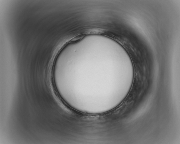 X0000111380049200907311101