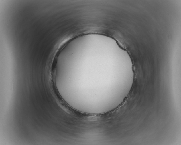 X0000111380050200907311101