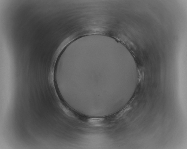 X0000111380051200907311101