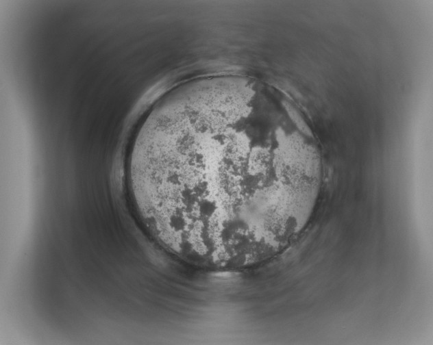 X0000111380053200907311101