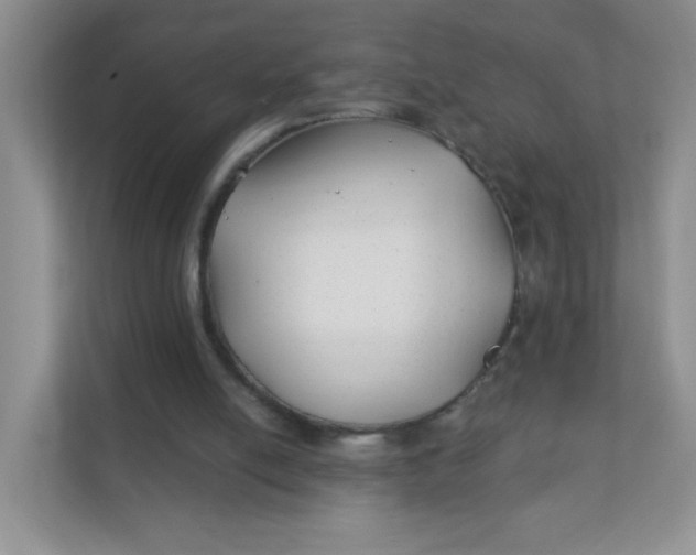 X0000111380054200907311102