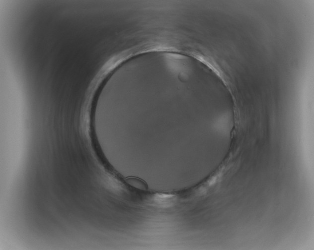 X0000111380055200907311102