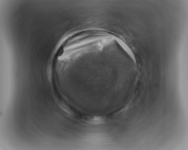 X0000111380056200907311102